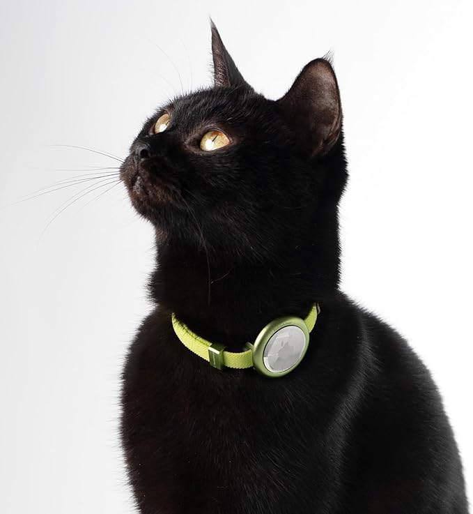 Safety Cat Collar Pro - U.S. IDA Gold Awarding Design, Elastic Quick Release Cat Collar with Buckle Non Breakaway - Lightweight for Kitten All Small Large Cats (Blush Pink, S 5.9-11.8")