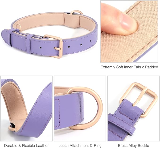 WHIPPY Leather Dog Collar for Small Medium Large Dog Adjustable Soft Breathable Leather Padded Puppy Collar with Alloy Buckle Heavy Duty Waterproof Classic Dog Pet Collar,Purple,L