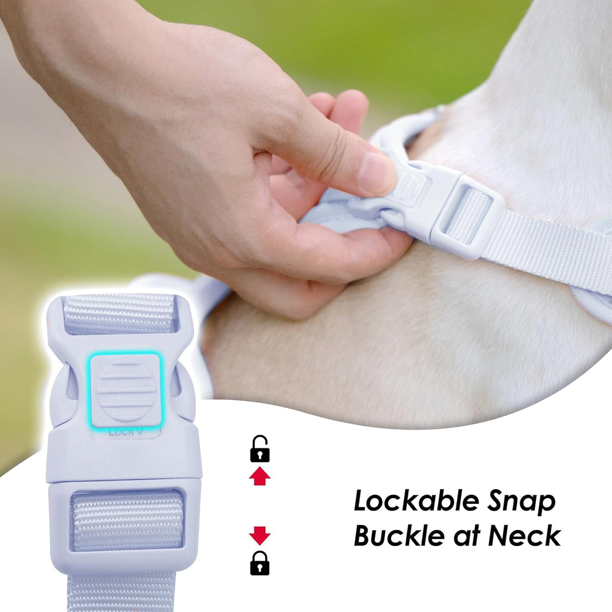 No Pull Dog Harness, Puppy Vest with Front Clip for Small Medium Large Sized Dog(Light Blue,XL)