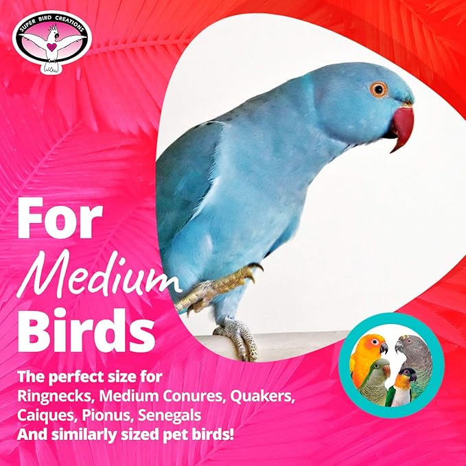 Super Bird Creations SB51113 Finger Trap Pagoda Bird Toy - Satisfies Chewing for Canary Finch Parrotlets Cockatiels - Vibrant Design with Cotton Rope, Beads, & Rings - Medium Size Birds, 14.5"x7"x7"