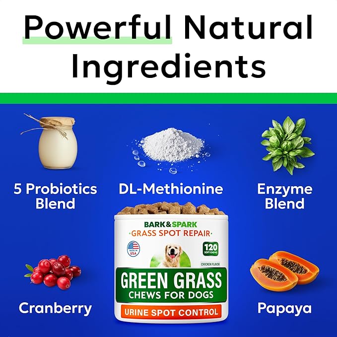 BARK&SPARK Green Grass Chews - Pee Grass Spot Saver Caused by Dog Urine - Urine Neutralizer for Lawn, Gut Health Probiotics & Digestive Enzymes,Lawn Burn from Dog Urine, Grass Burn Spot Chews, Rocks