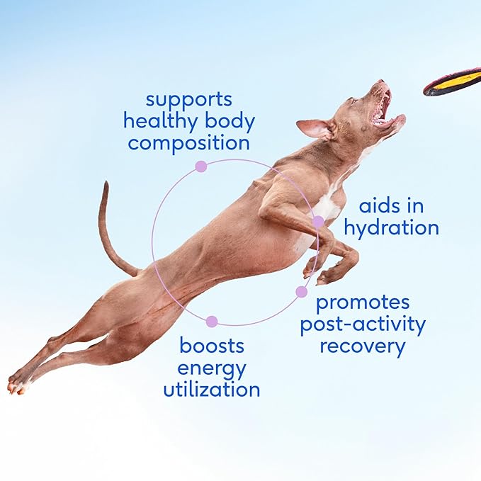 Native Pet Goat Milk for Dogs - Organic Goat Milk Powder for Dogs and Cats - Puppy Formula Dairy Replacement Packed with Protein & Vitamins for Immunity, Recovery & Growth for Active Pups - 120 Scoops