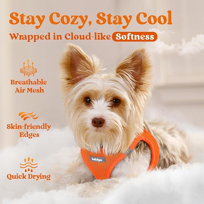 rabbitgoo Small Dog Harness, Step-in Soft Mesh Puppy Vest with Safety Buckle, Breathable Reflective Pet Harness for Extra Small Dogs, Orange XXS