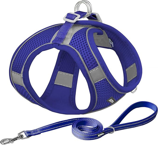 AIITLE Easy Walk Dog Harness and Leash Set - Pet Supply No Pull, Step in Adjustable Dog Harness with Padded Vest, Dog Harness No Choke Over, Easy to Put on Medium Dogs Royal Blue L