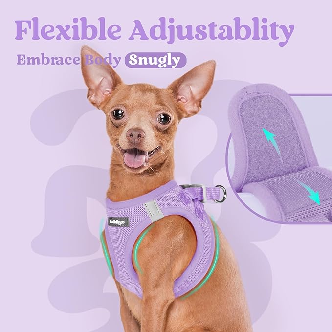 rabbitgoo Small Dog Harness, Step-in Soft Mesh Puppy Vest with Safety Buckle, Breathable Reflective Pet Harness for Large Dogs, Light Purple XXL