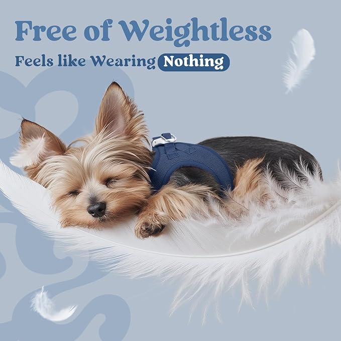 rabbitgoo Small Dog Harness, Step-in Soft Mesh Puppy Vest with Safety Buckle, Breathable Reflective Pet Harness for Large Dogs, Navy Blue XXL