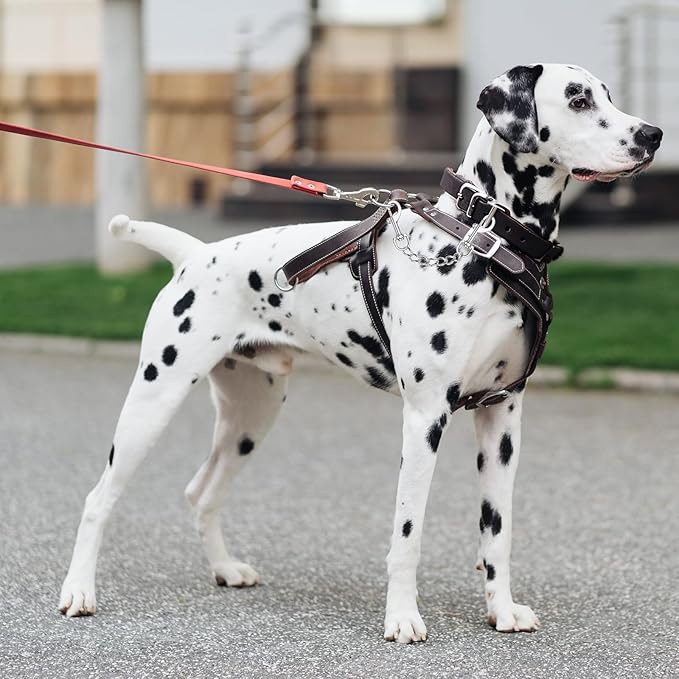 YUEPET 2 Pack 8.3 Inches Metal Dog Collar Safety Clips Heavy Duty Duble Ended Doggie Harness Collar Connector Stainless Steel Backup Clip for Dogs