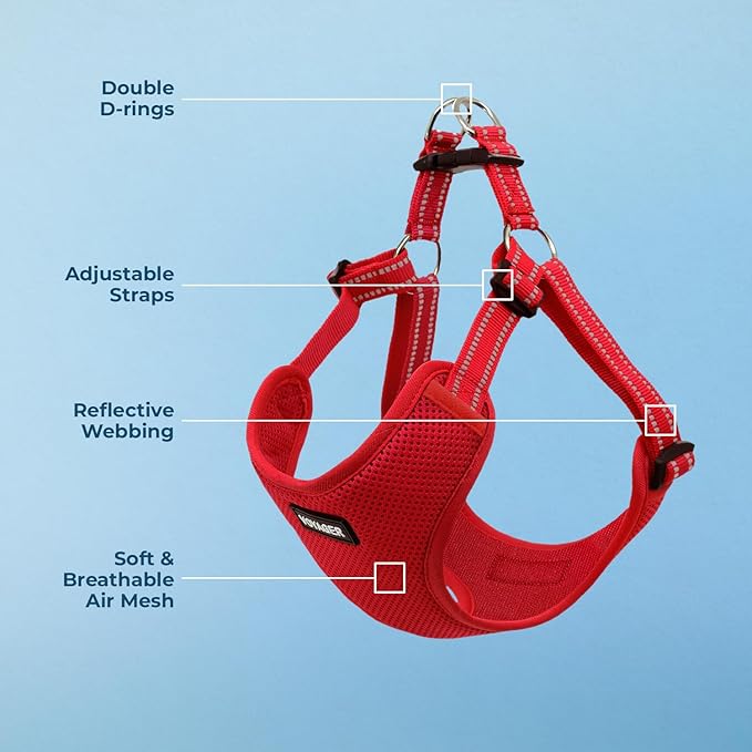Best Pet Supplies Voyager Adjustable Step-in Flex Breathable Mesh Dog Harness for Small Medium Large Dogs (Red), S