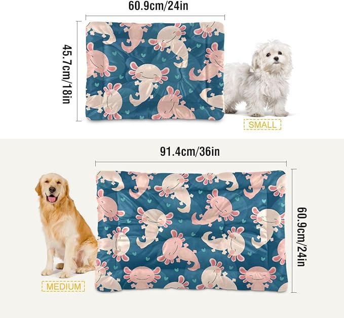 Pet Bed Cute Axolotl Dog Bed Mat Absorbing Non Slip Pad Pet Sleeping Mat for Small, Medium, and Large Dogs Puppy Cat 36 in x 24 in