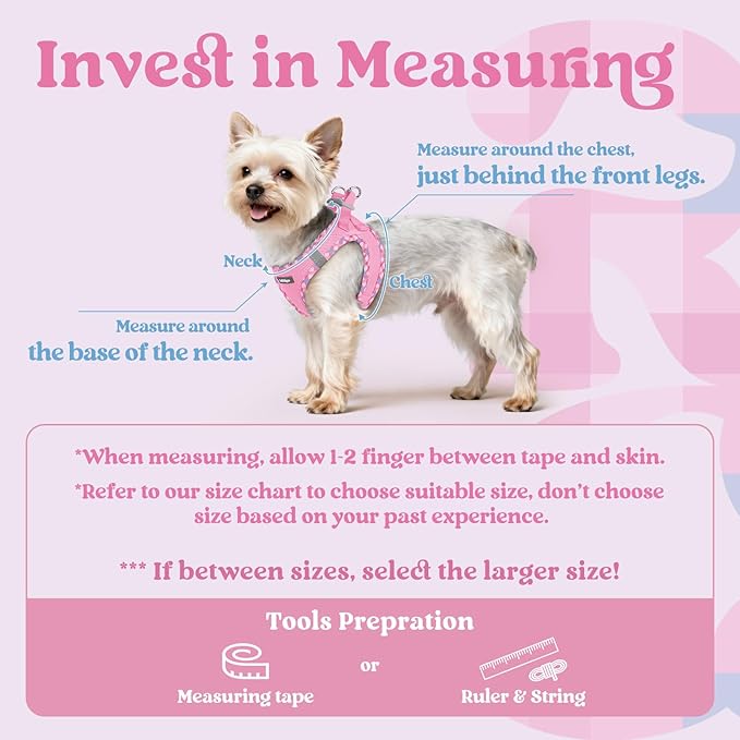 rabbitgoo Small Dog Harness, Step-in Soft Mesh Puppy Vest with Safety Buckle, Breathable Reflective Pet Harness for Small Sized Dogs, Pink & Plaid Trim XS