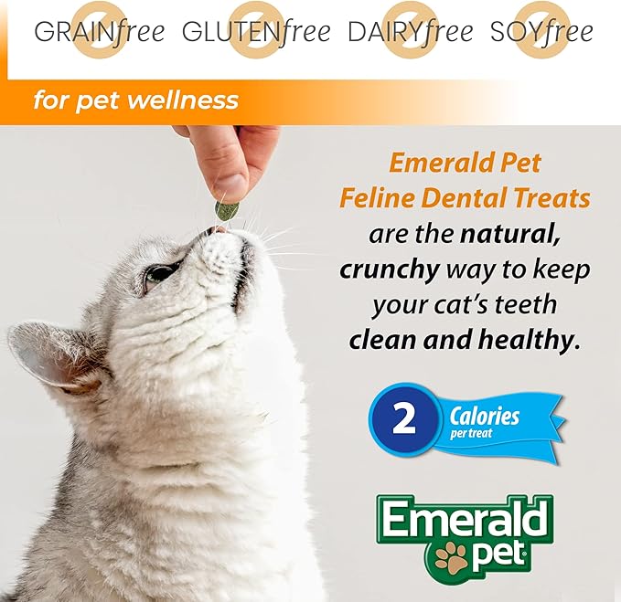 Feline Dental Treats — Tasty and Crunchy Cat Dental Treats Grain Free — Natural Dental Treats to Clean Cat Teeth, Freshen Cat Breath, and Reduce Plaque and Tartar Buildup — Salmon Treats, 11 oz