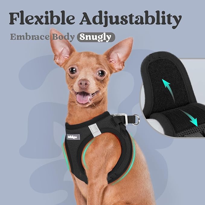 rabbitgoo Small Dog Harness, Step-in Soft Mesh Puppy Vest with Safety Buckle, Breathable Reflective Pet Harness for Small Sized Dogs, Black M