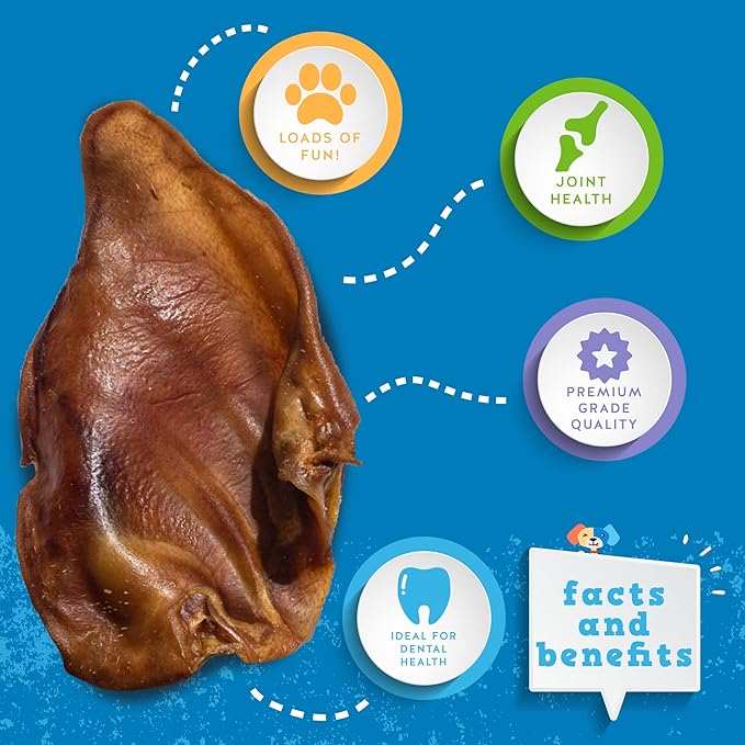 Jack&Pup Whole Pig Ears for Dogs (10 Pack) - All Natural Single Ingredient Extra Thick Large Pigs Ears - Premium Dog Pig Ear Treats - Natural Dog Pork Chews; Excellent Rawhide Alternative