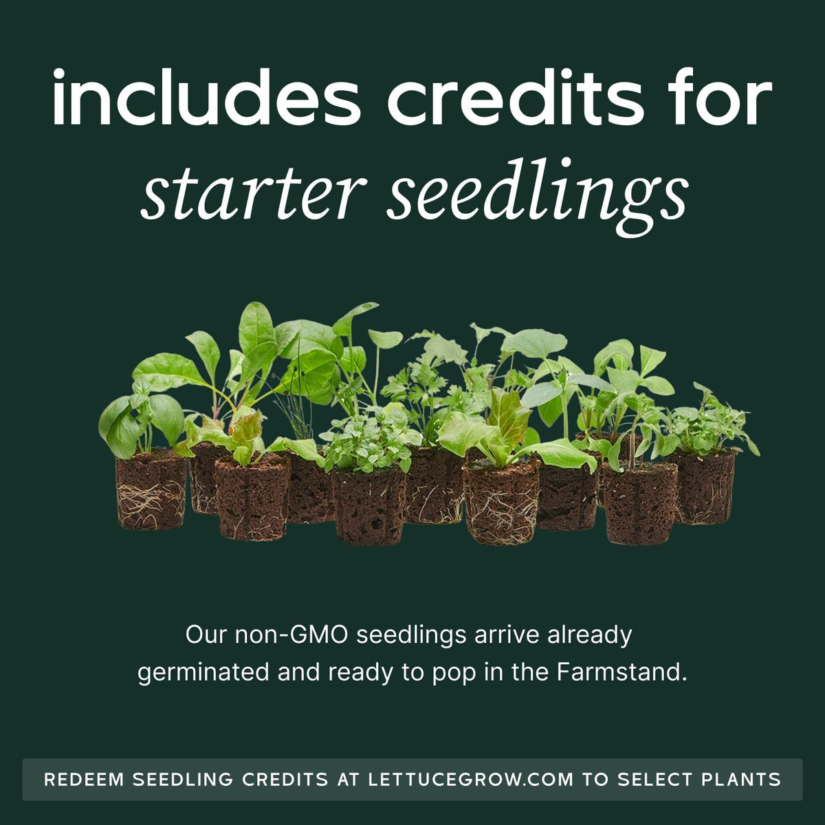 Farmstand Starter Kit + 18 Seedling Credits | Small Hydroponic Growing System Kit | Self-Watering Outdoor Vertical Garden Planter Tower | 4ft 3in | Made in USA