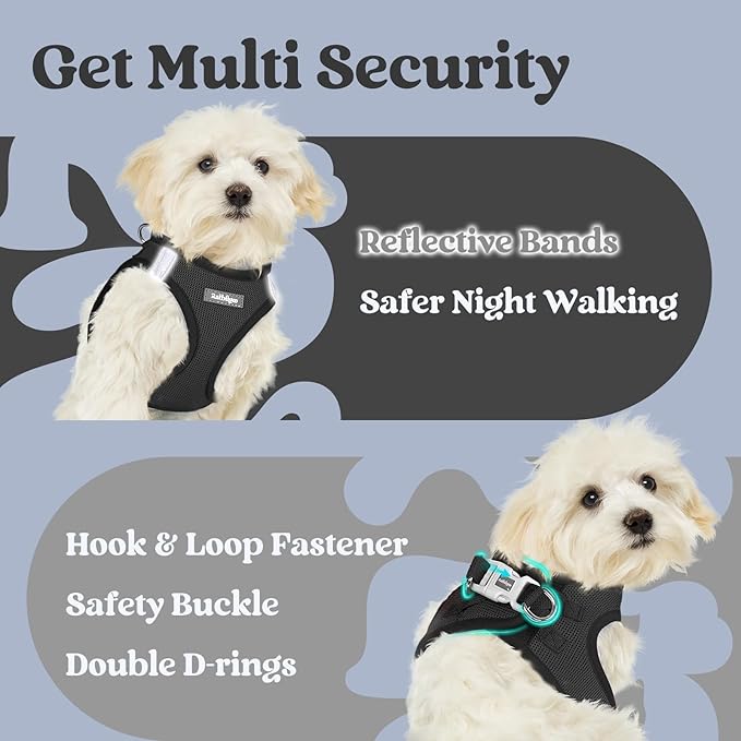 rabbitgoo Small Dog Harness, Step-in Soft Mesh Puppy Vest with Safety Buckle, Breathable Reflective Pet Harness for Extra Small Dogs, Black XXS