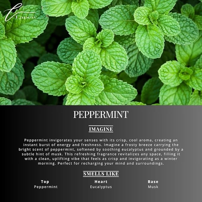 Peppermint Carpet Freshener Powder Refill 36 oz | Powerful Odor Eliminator for Home | Upholstery Deodorizer | Carpet Deodorizer | Pet Urine | Cat Litter Box