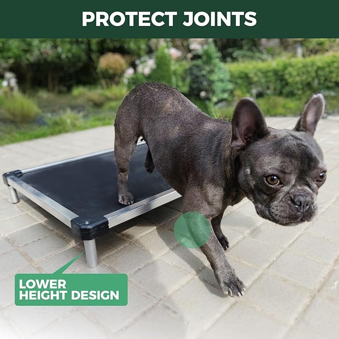 FXW TitanNest Chew-Proof Elevated Dog Bed, Raised Cot for Indoor/Outdoor/Camping Use, Durable & Waterproof Cooling Pet Bed for Toy Dogs, 23.0" L x 17.0" W x 4.5" H, Black