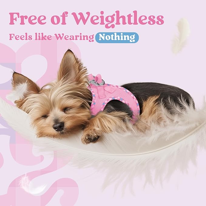 rabbitgoo Small Dog Harness, Step-in Soft Mesh Puppy Vest with Safety Buckle, Breathable Reflective Pet Harness for Small Medium Dogs, Pink & Plaid Trim L