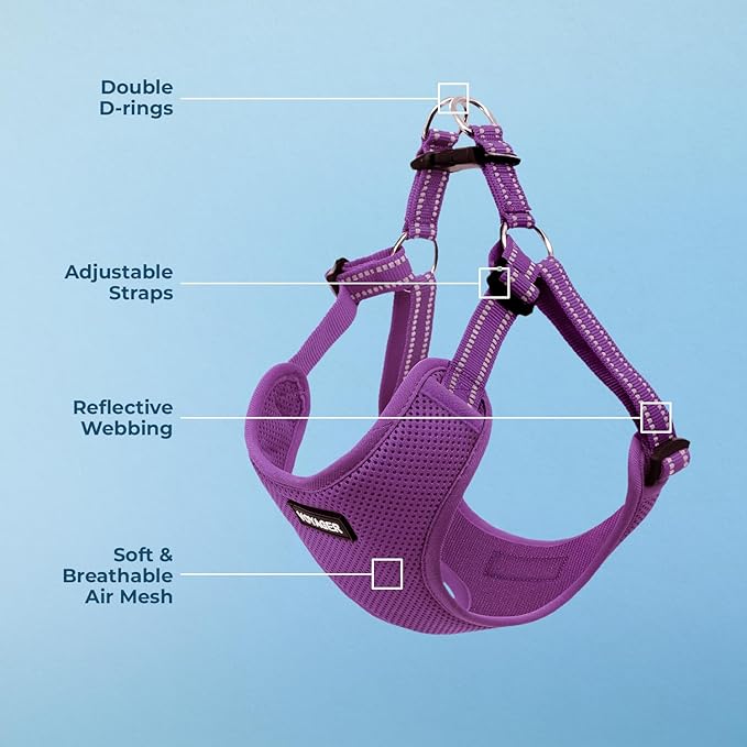 Best Pet Supplies Voyager Adjustable Step-In Flex Breathable Mesh Dog Harness for Small Medium Large Dogs (Purple), M