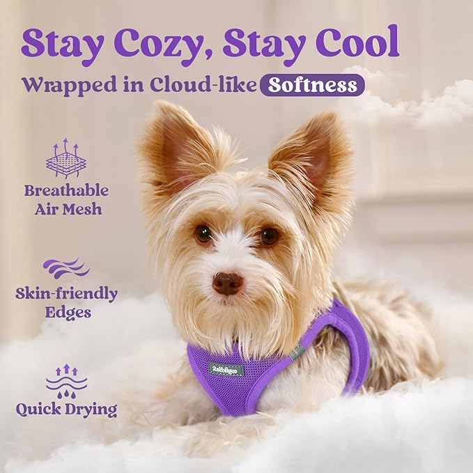 rabbitgoo Small Dog Harness, Step-in Soft Mesh Puppy Vest with Safety Buckle, Breathable Reflective Pet Harness for Small Sized Dogs, Purple S