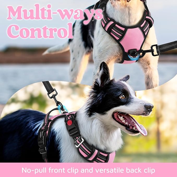 rabbitgoo Dog Harness Small Sized, No Pull Dog Vest with 3 Buckles, Adjustable Soft Padded Pet Harness with Easy Control Handle and Reflective Strips, Light Pink, S