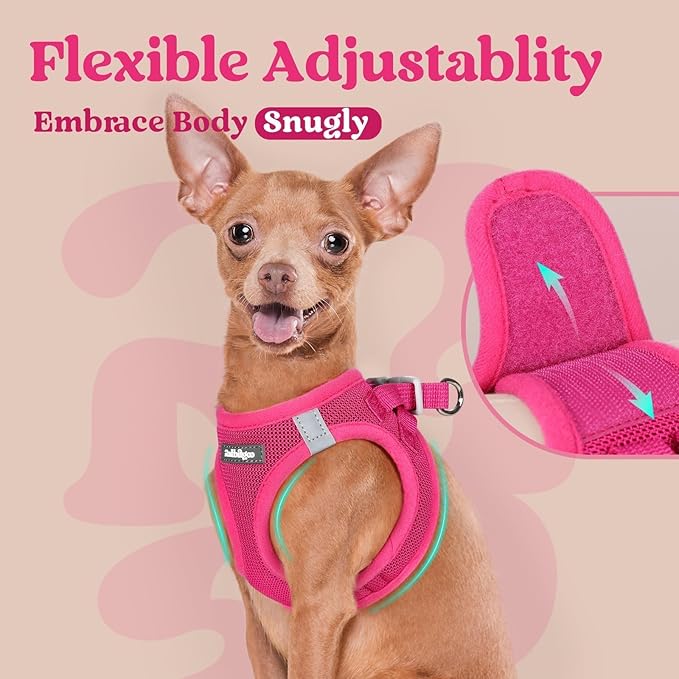 rabbitgoo Small Dog Harness, Step-in Soft Mesh Puppy Vest with Safety Buckle, Breathable Reflective Pet Harness for Small Sized Dogs, Rose Red S