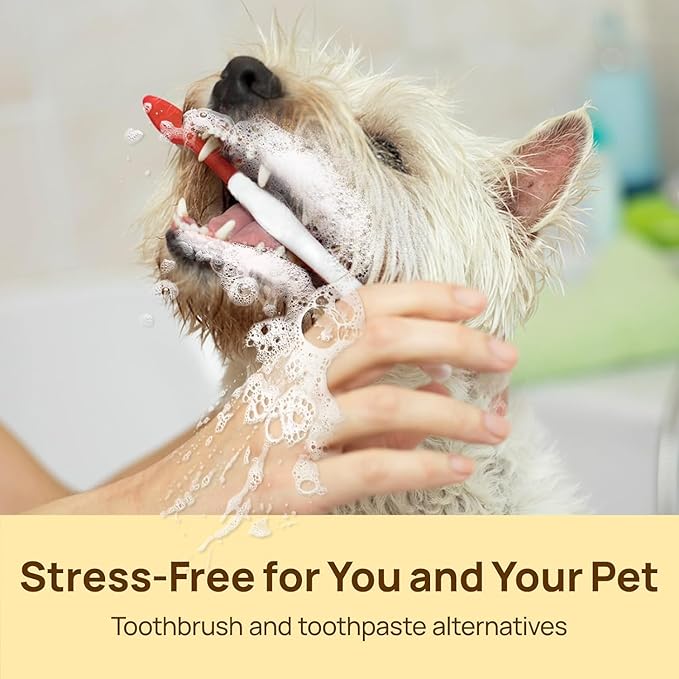 HICC Pet Teeth Cleaning Wipes for Dogs & Cats, Vet-Recommended Remove Bad Breath, Plaque, Tartar Buildup Dog Finger Toothbrush Wipes, Dog Tooth Brushing Kit, Pet Toothpaste & Toothbrush Alternatives