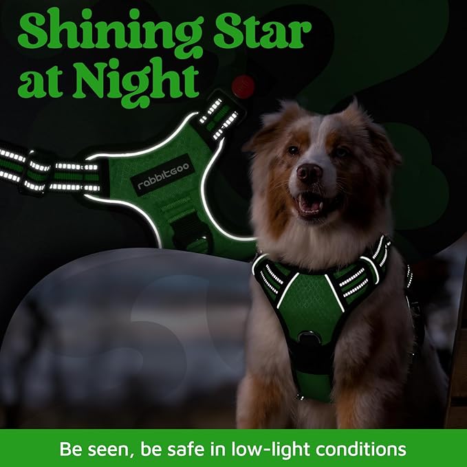 rabbitgoo Dog Harness Medium Sized, No Pull Dog Vest with 3 Buckles, Adjustable Soft Padded Pet Harness with Easy Control Handle and Reflective Strips, Green, M