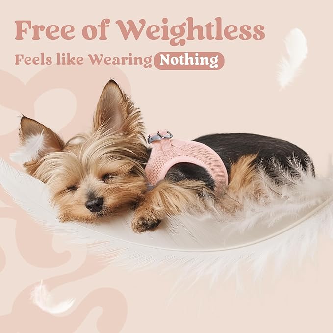 rabbitgoo Small Dog Harness, Step-in Soft Mesh Puppy Vest with Safety Buckle, Breathable Reflective Pet Harness for Small Sized Dogs, Pink S
