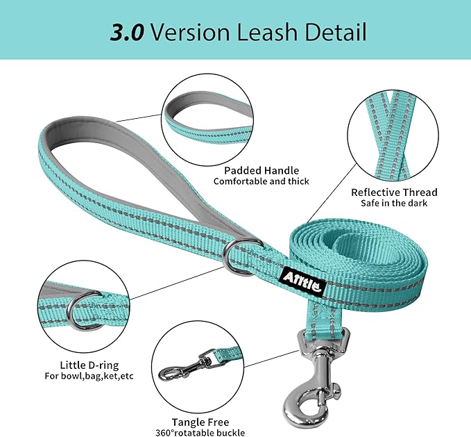 AIITLE Dog Harness, No-Pull Cat Harness with a Leash, Adjustable Reflective Dog Vest, Cat Harness Escape Proof, Outdoor Walking, Running for Extra Small Dogs and House Cats Pure Turquoise XXXS