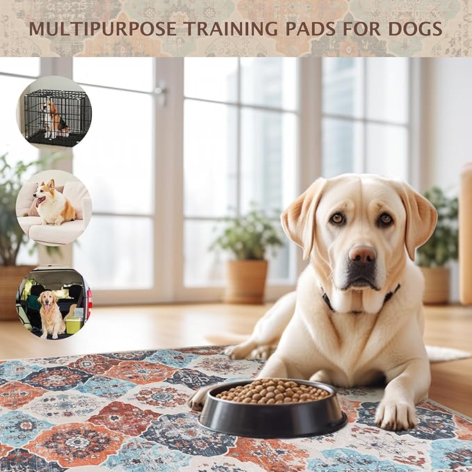 IEUUMLER Washable Pee Pads for Dogs, 2 Pack Reusable Non-Slip Grip, Super Absorbent Waterproof Puppy Pads for Potty Training, Playpen, Crate, Whelping Box EU011 (Orange, 36" x 48")