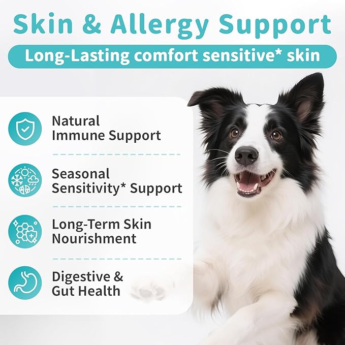 Dog Skin & Allergy Chews - Dog Probiotics for Sensitive Skin Health Support - Allergy Relief - Support Seasonal Allergies, Immune & Gut & Digestive Health Supplement - Beef Flavor - 90 Count