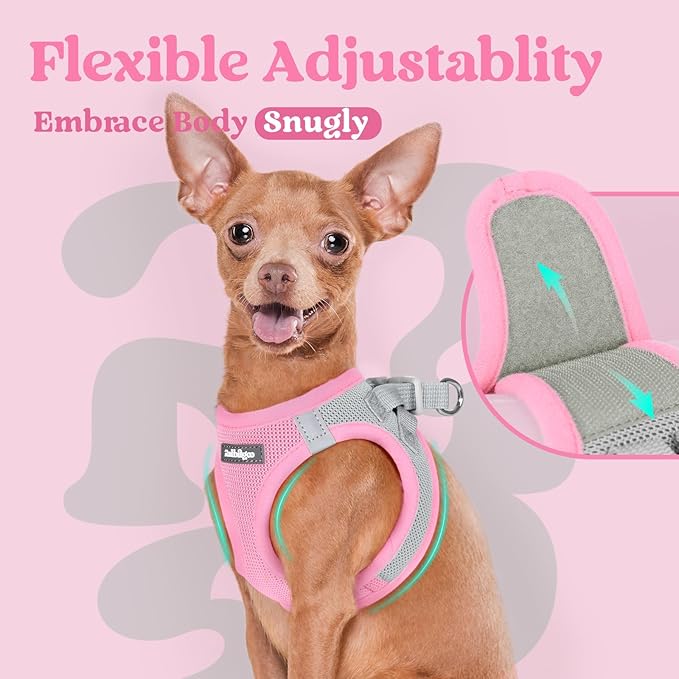 rabbitgoo Small Dog Harness, Step-in Soft Mesh Puppy Vest with Safety Buckle, Breathable Reflective Pet Harness for Small Sized Dogs, Pink & Gray XS