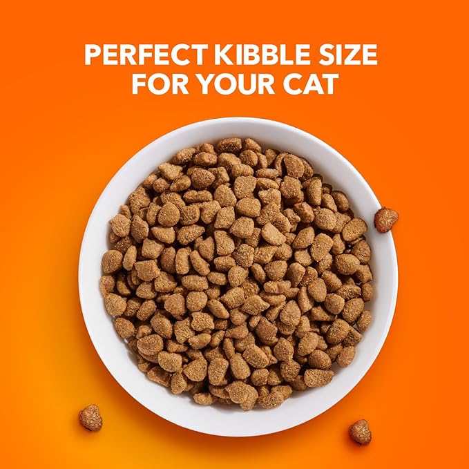 IAMS Proactive Health Adult Sensitive Digestion & Skin Dry Cat Food with Turkey, 6 lb. Bag