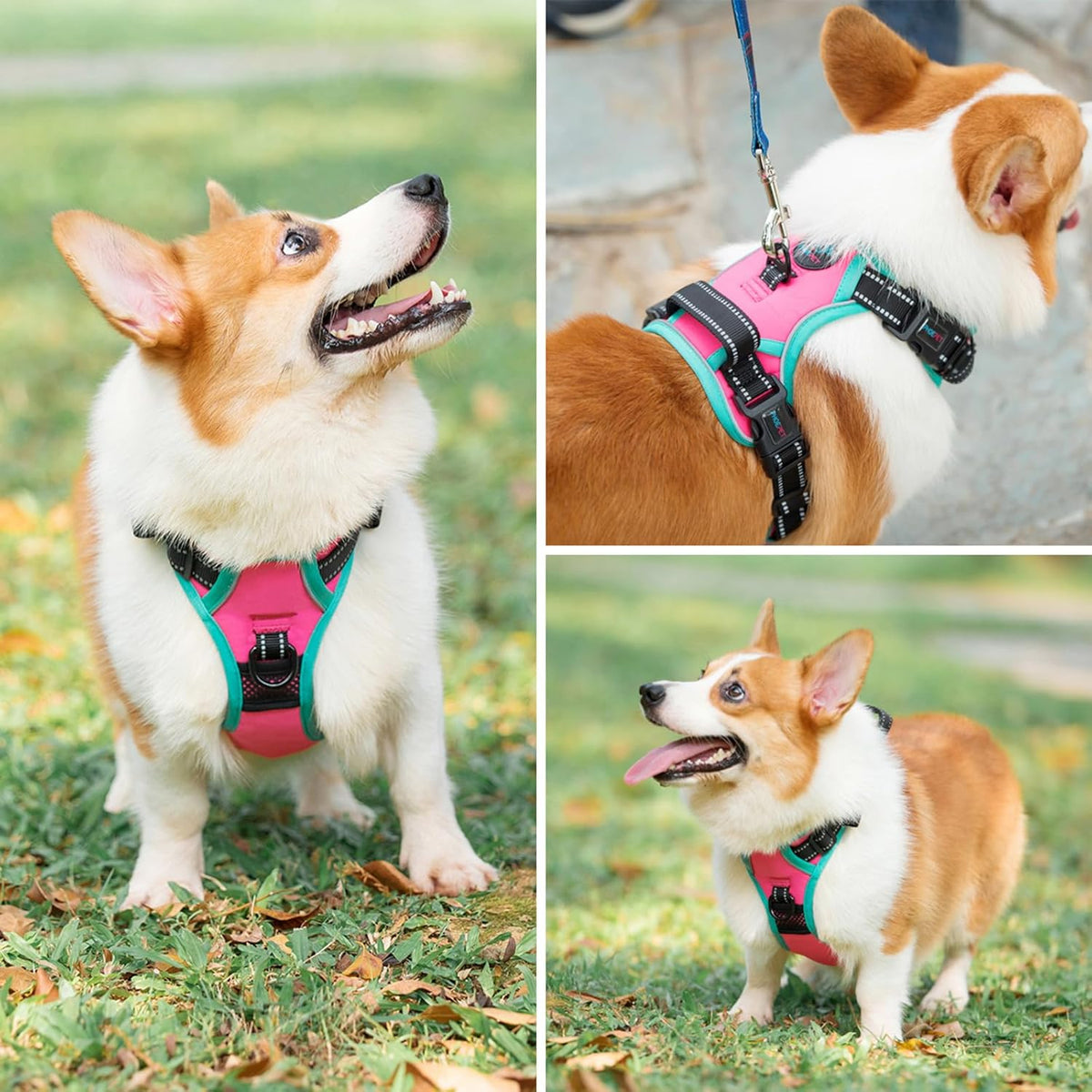 PHOEPET 2019 Reflective Dog Harness Large Breed (XL, Pink)