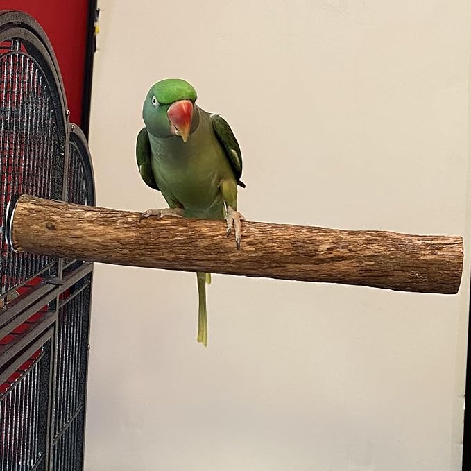 Polly's Hardwood Bird Perch, X-Large
