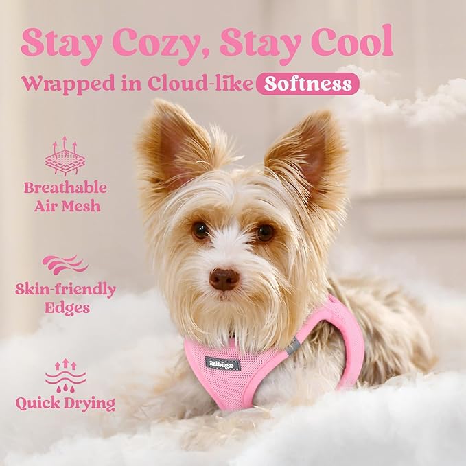 rabbitgoo Small Dog Harness, Step-in Soft Mesh Puppy Vest with Safety Buckle, Breathable Reflective Pet Harness for Large Dogs, Light Pink XXL