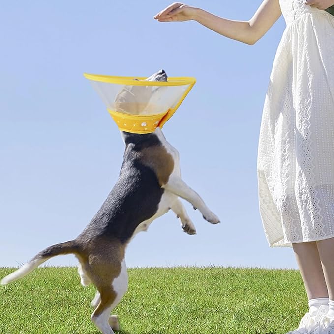 Pet Cone Recovery Dog Cone Adjustable Dog Collar Clear Padded Collar with Breathable Soft Edge, Plastic Puppy Cone Protect The Neck Surgery Recovery, Designed for Cats and Puppies (Yellow, M)