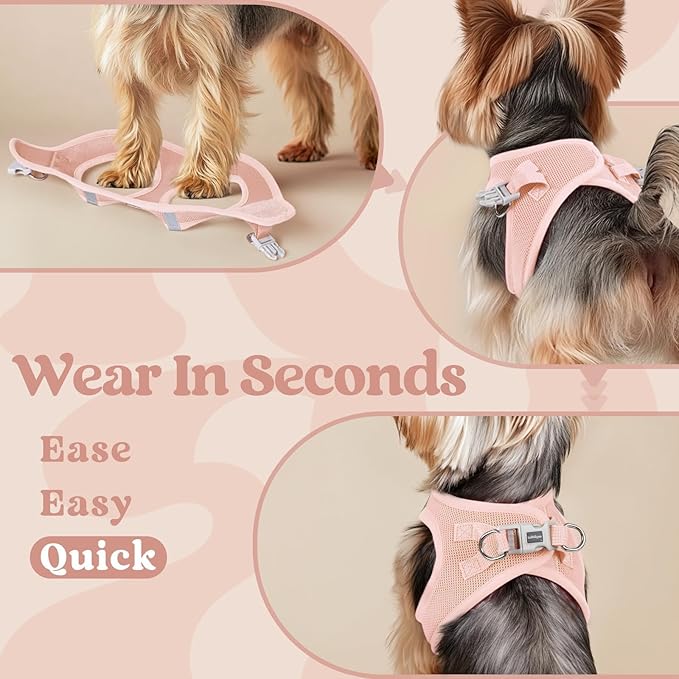 rabbitgoo Small Dog Harness, Step-in Soft Mesh Puppy Vest with Safety Buckle, Breathable Reflective Pet Harness for Small Sized Dogs, Pink XS