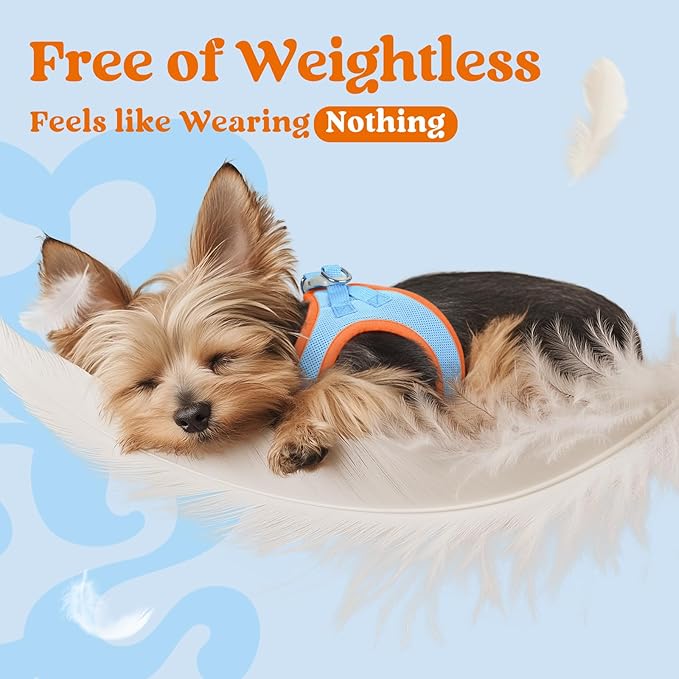 rabbitgoo Small Dog Harness, Step-in Soft Mesh Puppy Vest with Safety Buckle, Breathable Reflective Pet Harness for Small Sized Dogs, Blue & Orange M