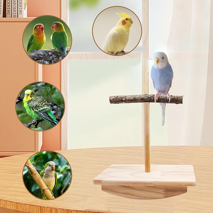 Bird Perch Rocking Toy, Natural Wood Parrot Tumbler Toy, Bird Perch Stand & Chewing Toys, Parakeet Paw Grinding Stick, Cage Accessories for Small Birds Parakeets Cockatiels Budgies Finches Love Birds