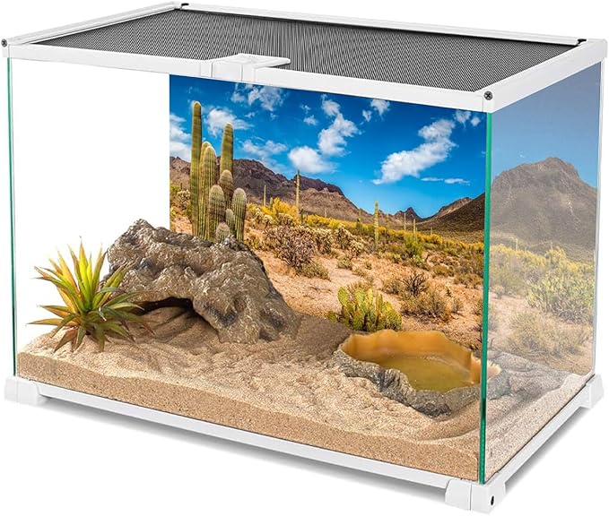AWERT 48x18 inches Reptile Habitat Background Blue Sky Oasis Cactus Desert Terrarium Background Vinyl