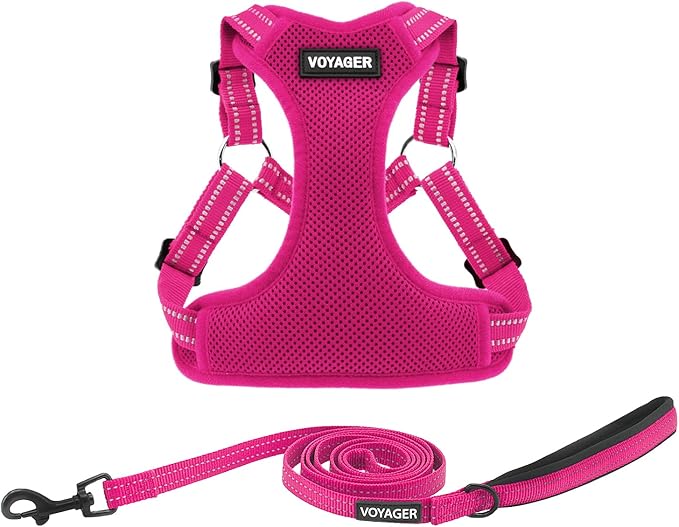 Best Pet Supplies Voyager Adjustable Step-in Flex Breathable Mesh Dog Harness for Small Medium Large Dogs Leash Set (Fuchsia), L