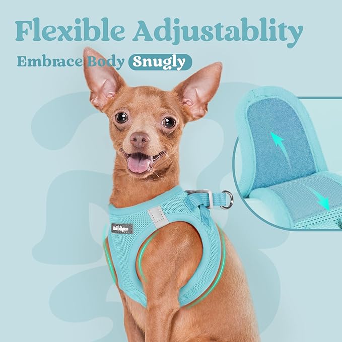 rabbitgoo Small Dog Harness, Step-in Soft Mesh Puppy Vest with Safety Buckle, Breathable Reflective Pet Harness for Small Medium Dogs, Mint Blue L
