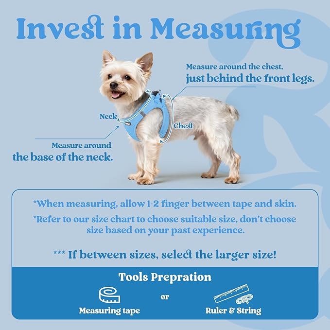 rabbitgoo Small Dog Harness, Step-in Soft Mesh Puppy Vest with Safety Buckle, Breathable Reflective Pet Harness for Extra Small Dogs, Blue XXXS