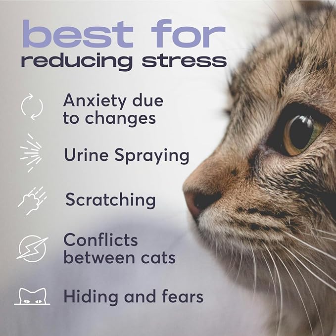 Cat Calming Diffuser Refills – Long-Lasting 30-Day Formula with Pheromones for Stress Relief, Relaxation, and Anxiety Reduction in Cats Easy to Use – (2 Diffusers + 2 Refills)