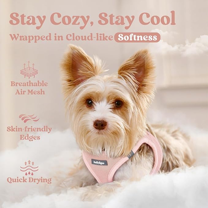 rabbitgoo Small Dog Harness, Step-in Soft Mesh Puppy Vest with Safety Buckle, Breathable Reflective Pet Harness for Small Sized Dogs, Pink XS