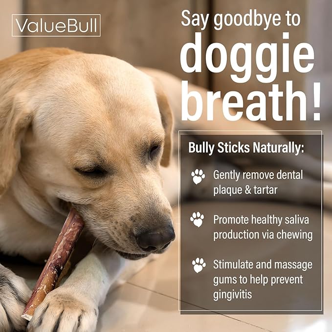 ValueBull Bully Sticks for Dogs, Medium 12 Inch, 50 Count - All Natural, Grass Fed, Single Ingredient, Long Lasting Dog Treats