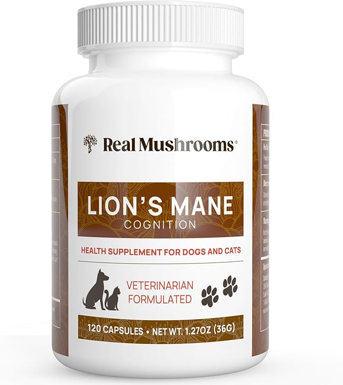 Real Mushrooms Lion’s Mane Pet Mushroom Supplement – Pet Wellbeing Capsules – for Cat & Dog Supplement & Vitamins – Support Mindful Routines – Organic, Vegan, Non-GMO, 120 Count