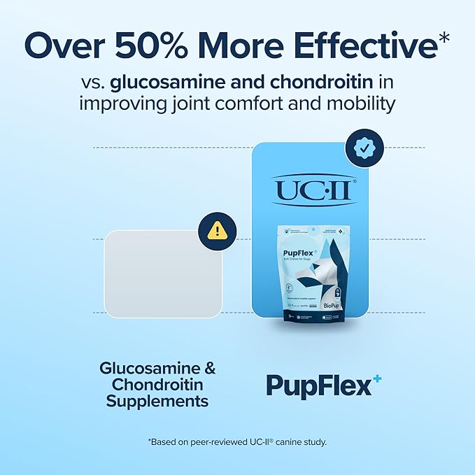 PupFlex+ Hip and Joint Supplement Dogs, Vet Created Soft Chews with UC-II® Collagen for Dogs, CurcuVET® & Omega 3, Proven More Effective Than Glucosamine Chondroitin, Dog Joint Supplement (60 ct)